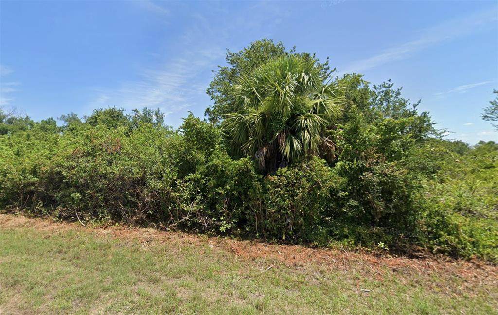 13879 Begonia Circle - Photo 1