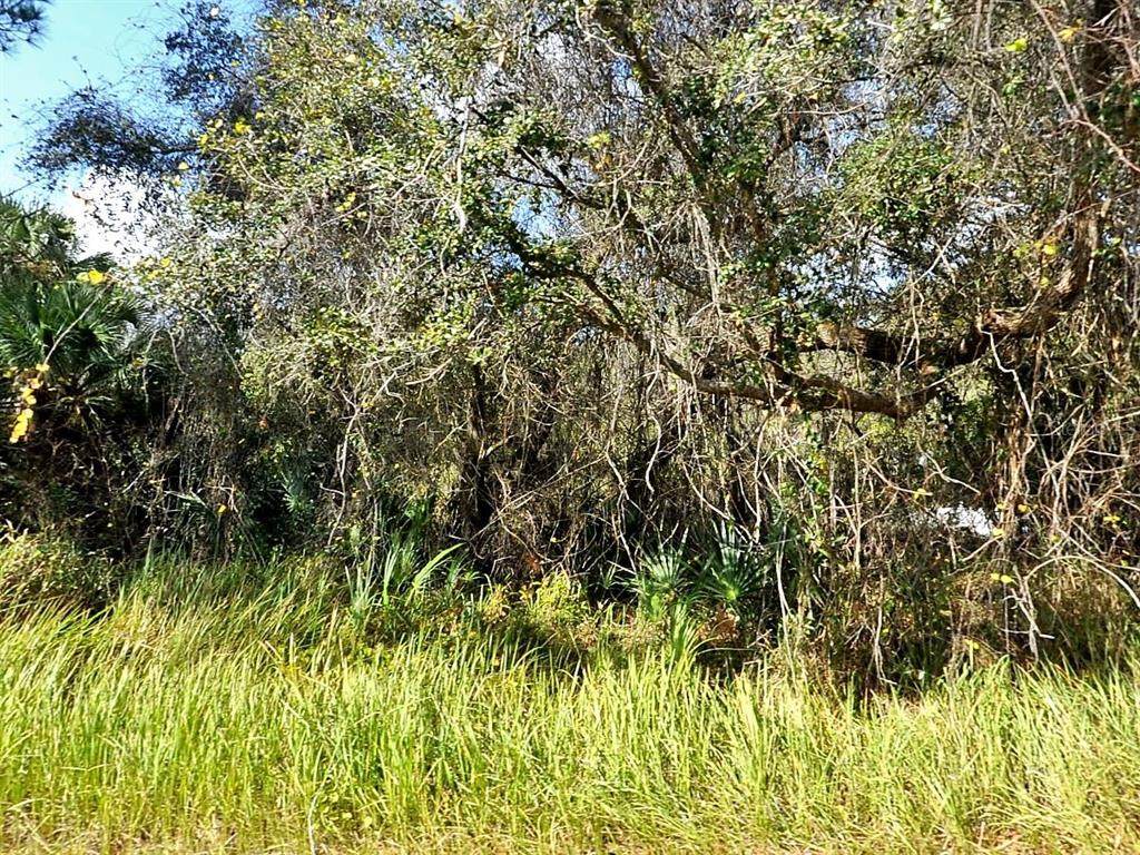  Kacher Road - Photo 1