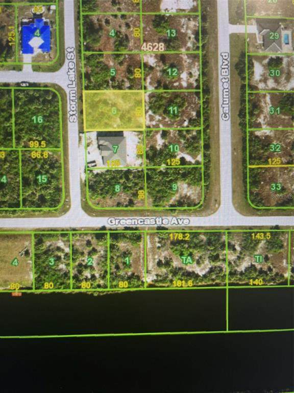 13570 Storm Lake Street - Photo 1