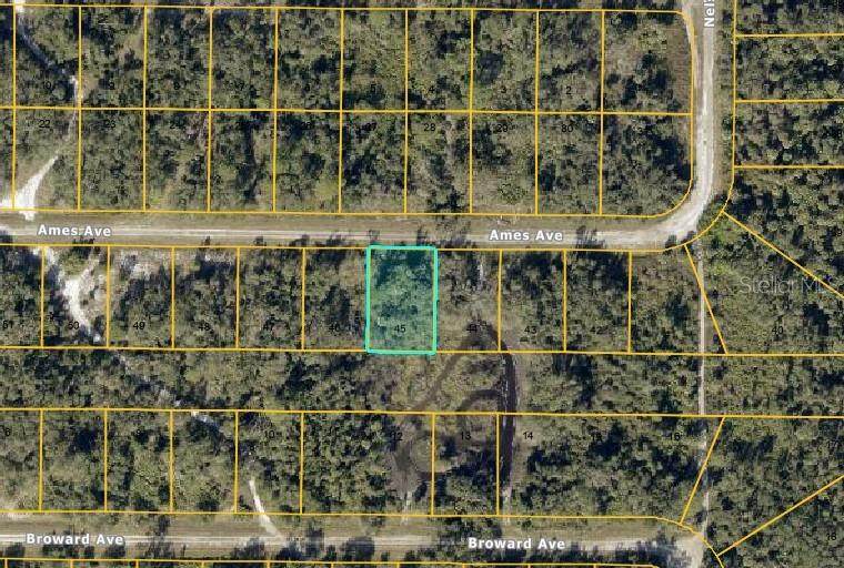Lot #45 Ames Avenue - Photo 1