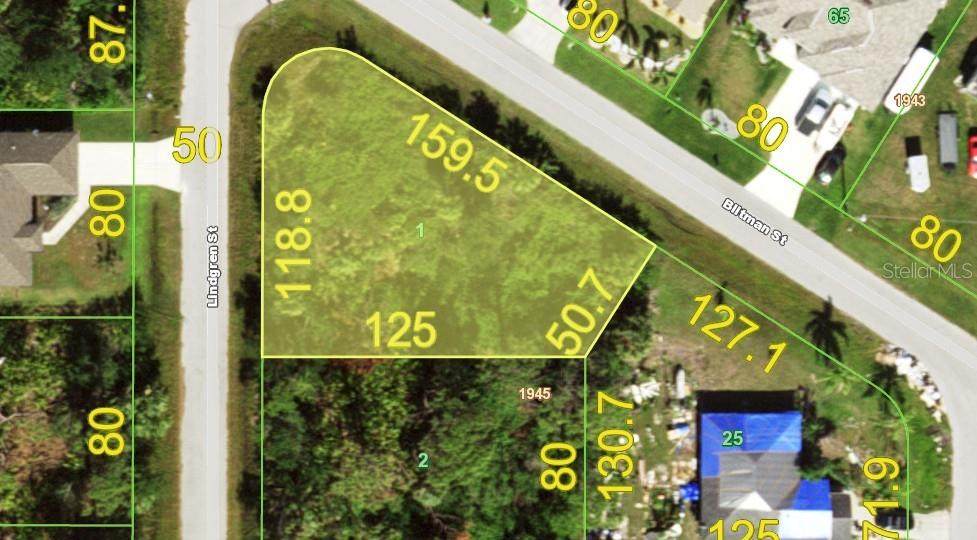 3428 Lindgreen Street - Photo 1