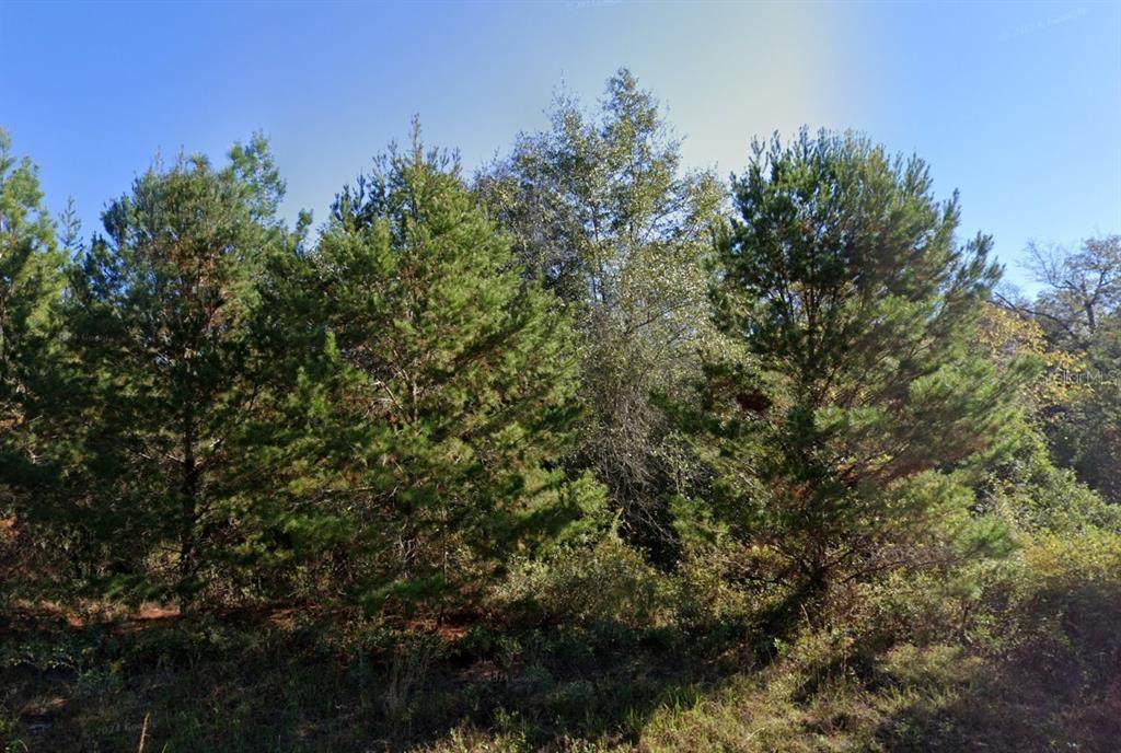  Parkview Lot 13 Drive - Photo 1