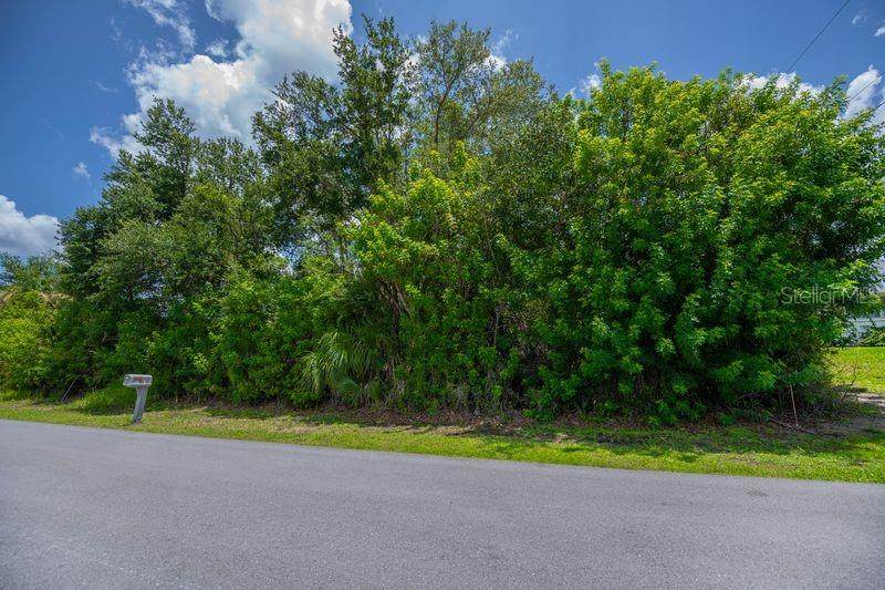 6304 Tilly Street - Photo 1