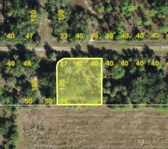 13526 Mission Drive - Photo 1