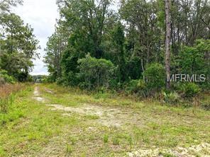 8260 Cashew Drive - Photo 1