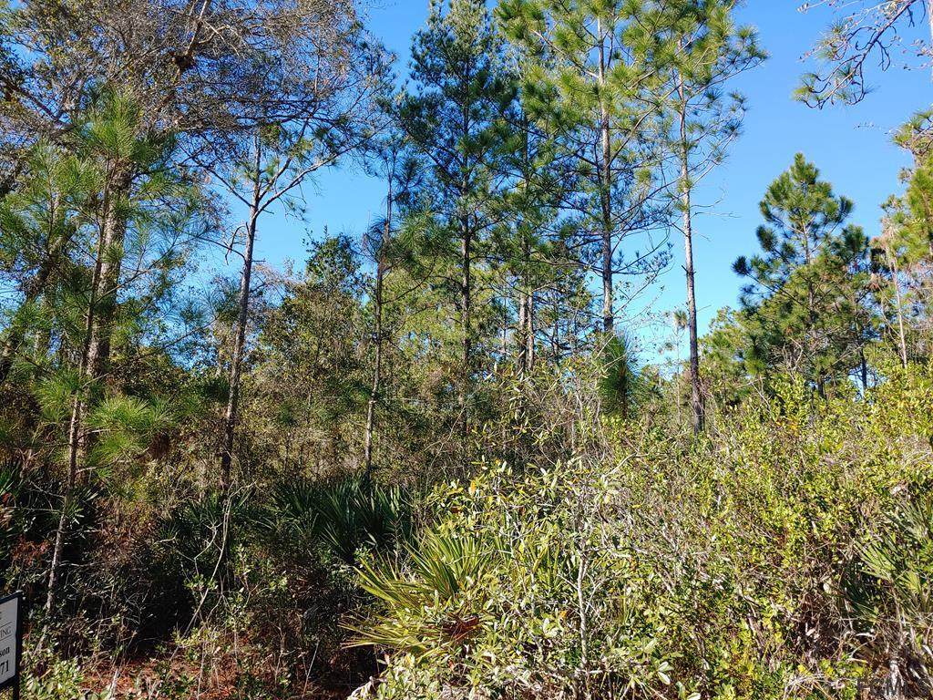 2520 Coconut Boulevard - Photo 1