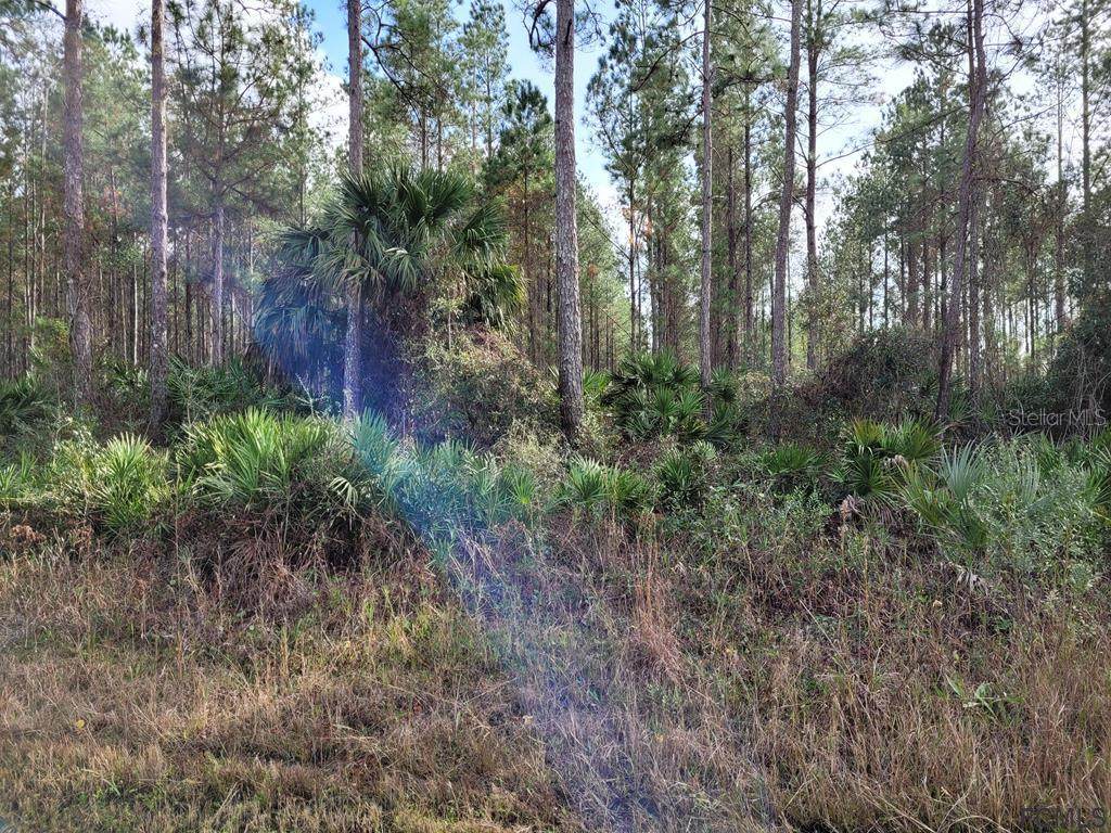 000C County Road 302 - Photo 1