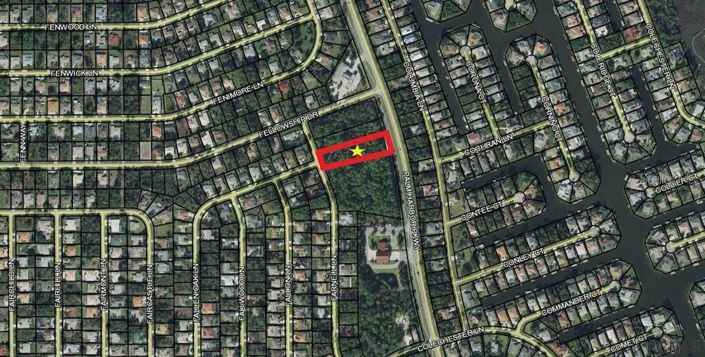 1655 Palm Harbor Parkway - Photo 1