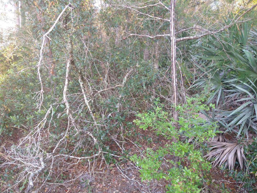 17 Ferngate Lane - Photo 1