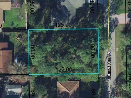 29 Breeze Hill Lane - Photo 1