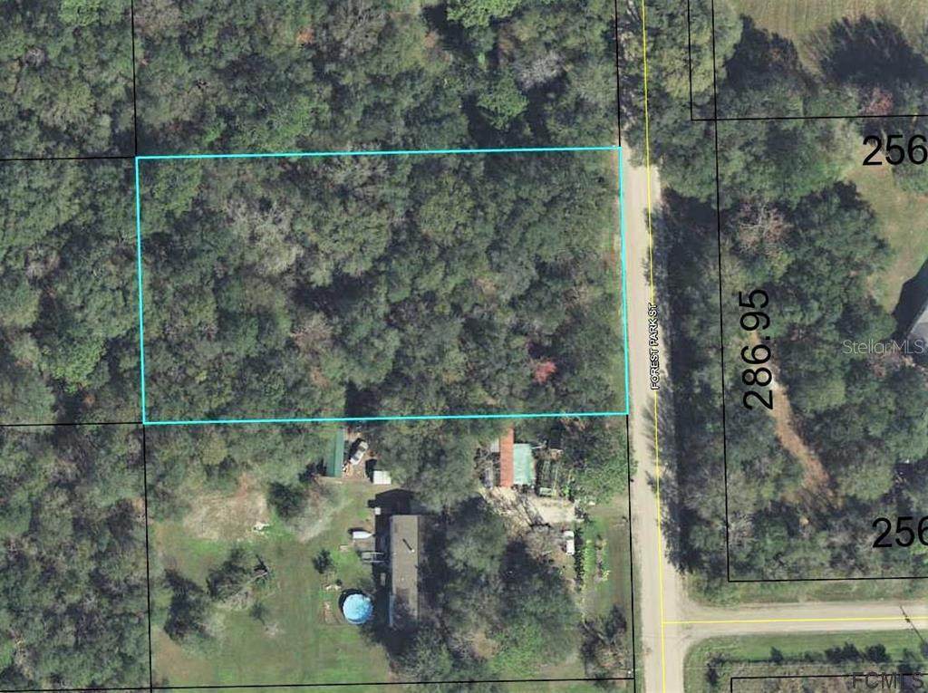 1260 Forest Park Street - Photo 1