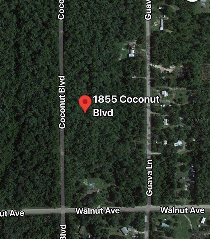 1855 Coconut Boulevard - Photo 1