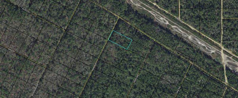 0000 Randi Avenue - Photo 1