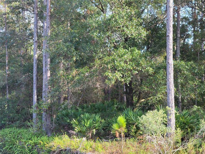 4405 Palatka Boulevard - Photo 1