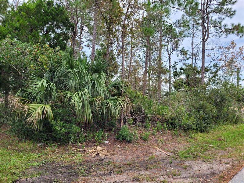 174 Underwood Trail - Photo 1