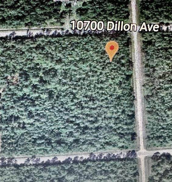 10700 Dillon Avenue - Photo 1