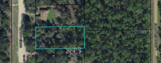 3113 Water Oak Road - Photo 1