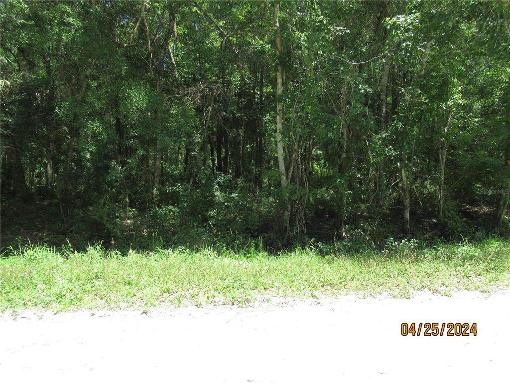 1572 Guava Lane - Photo 1