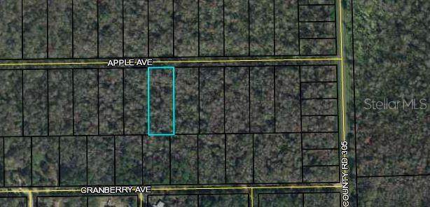 3681 Apple Avenue - Photo 1