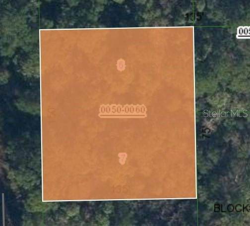 170 Possum Walk Road - Photo 1