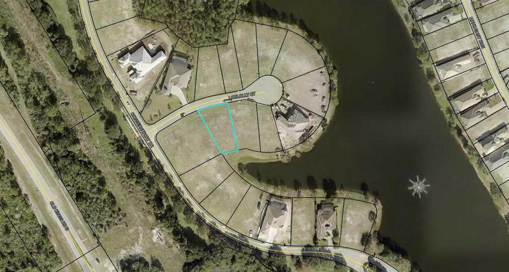 803 Loblolly Court - Photo 1