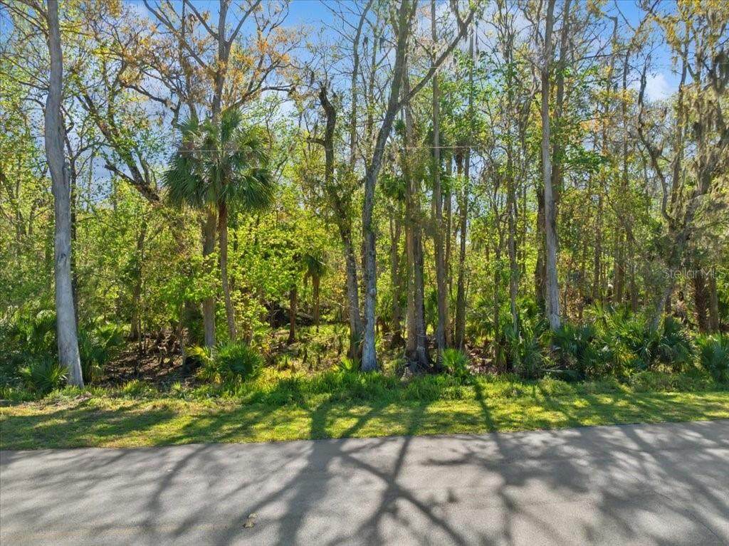 138 Blare Drive - Photo 1