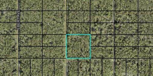  000 DILLON Avenue - Photo 1