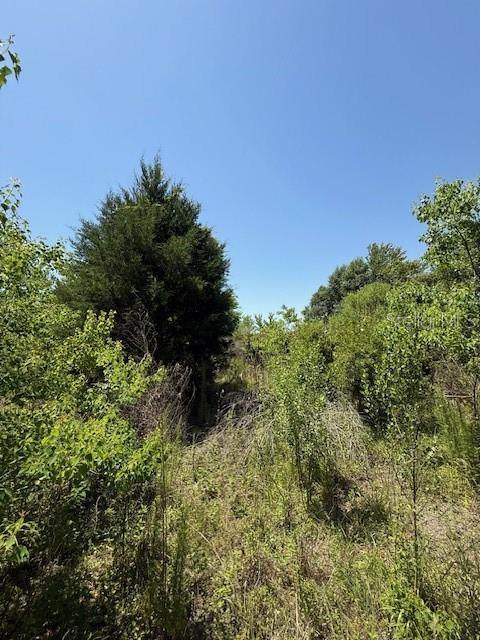 17918 Us Highway 301 - Photo 1