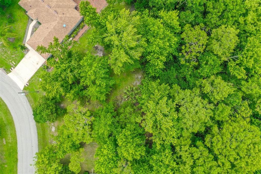 9 Zeolite Place - Photo 1