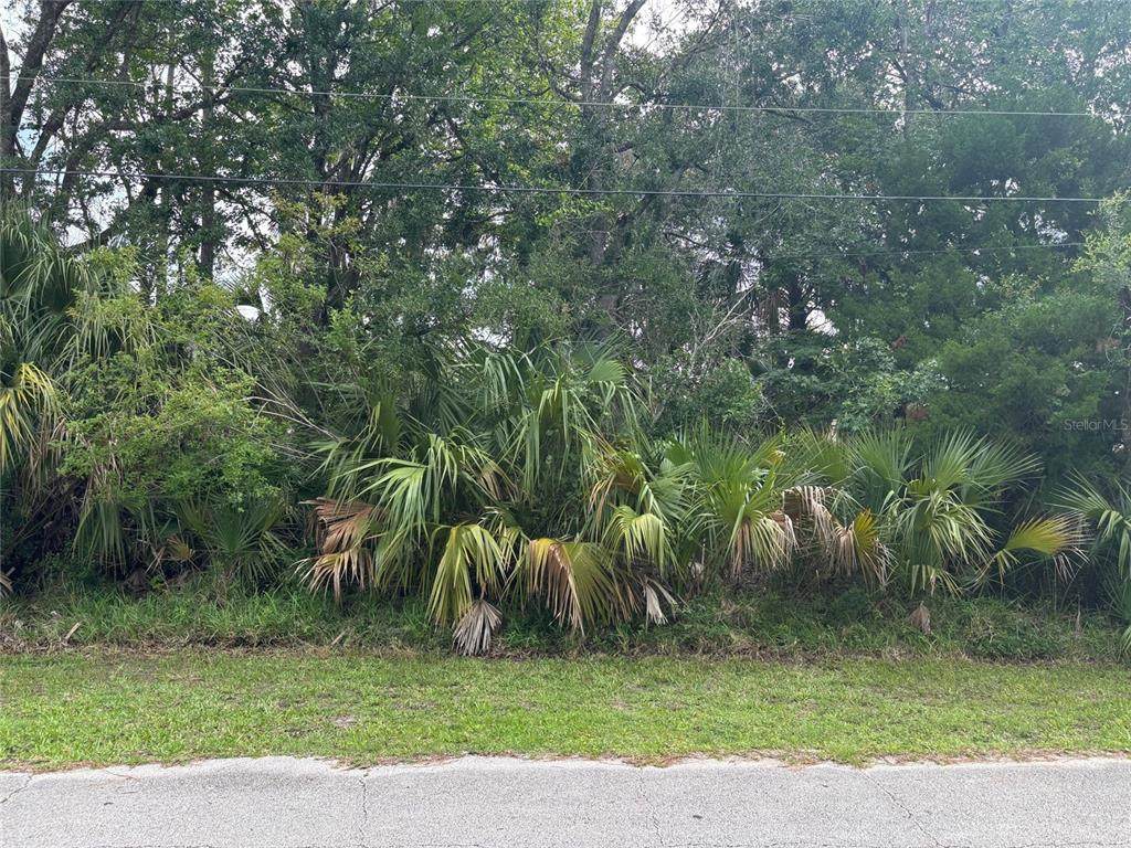 39 Poplar Drive - Photo 1