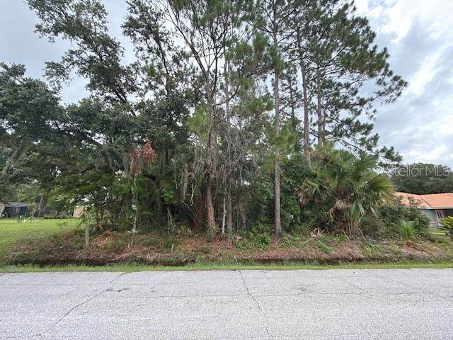 37 Princess Ruth Lane - Photo 1