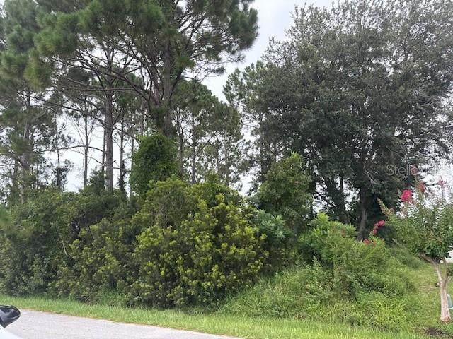69 Felwood Lane - Photo 1