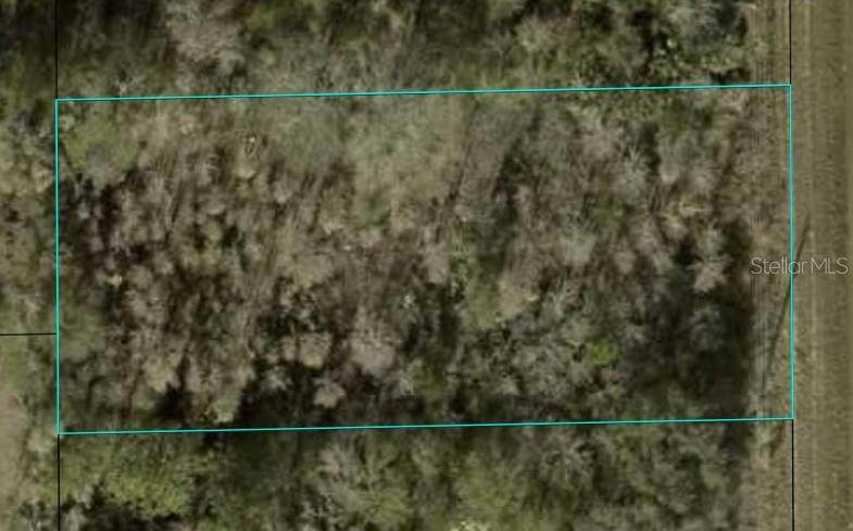 1366 County Road 305 - Photo 1