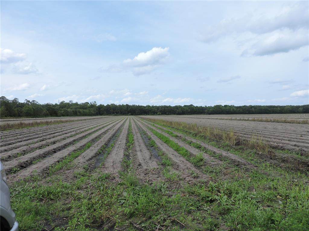  County Road 108 Road - Photo 1