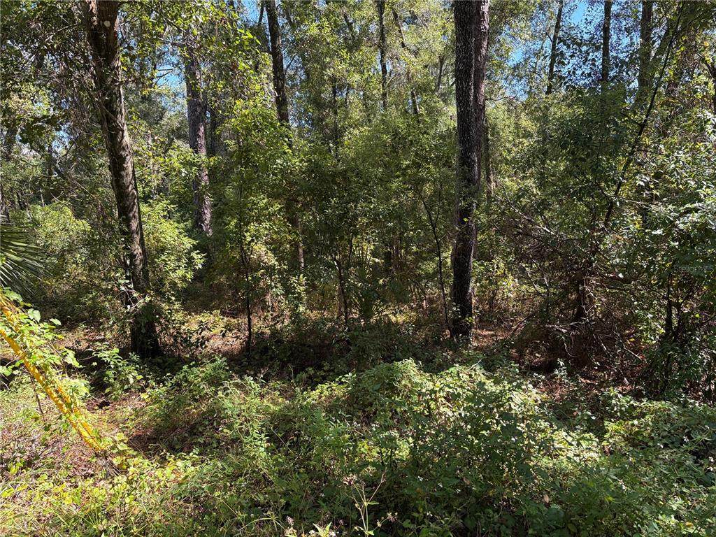 1228 Clover Terrace - Photo 1