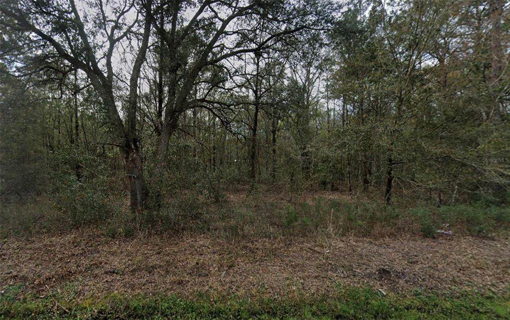 4775 Inez Street - Photo 1