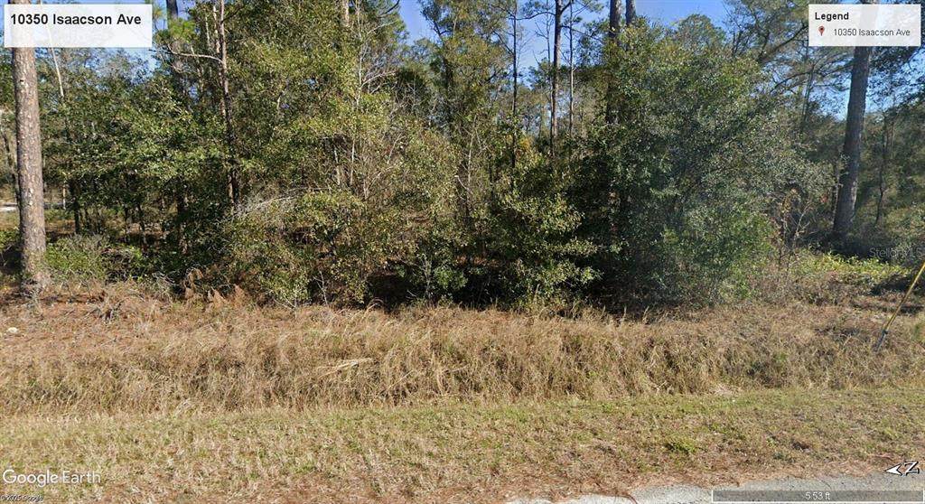 10350 Isaacson Avenue - Photo 1