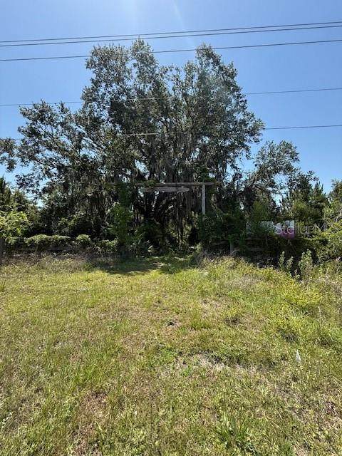 17918 Us Highway 301 - Photo 1