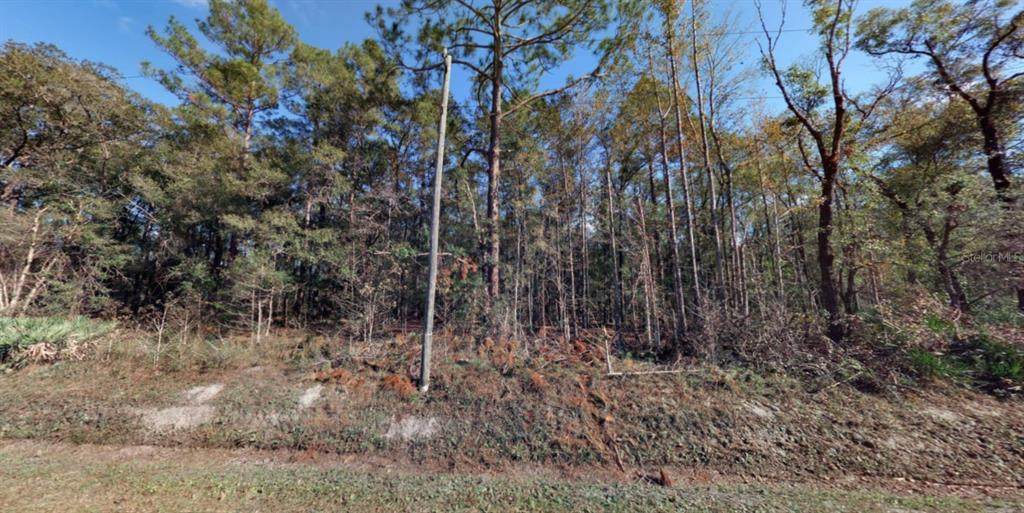 10410 Vaughan Avenue - Photo 1