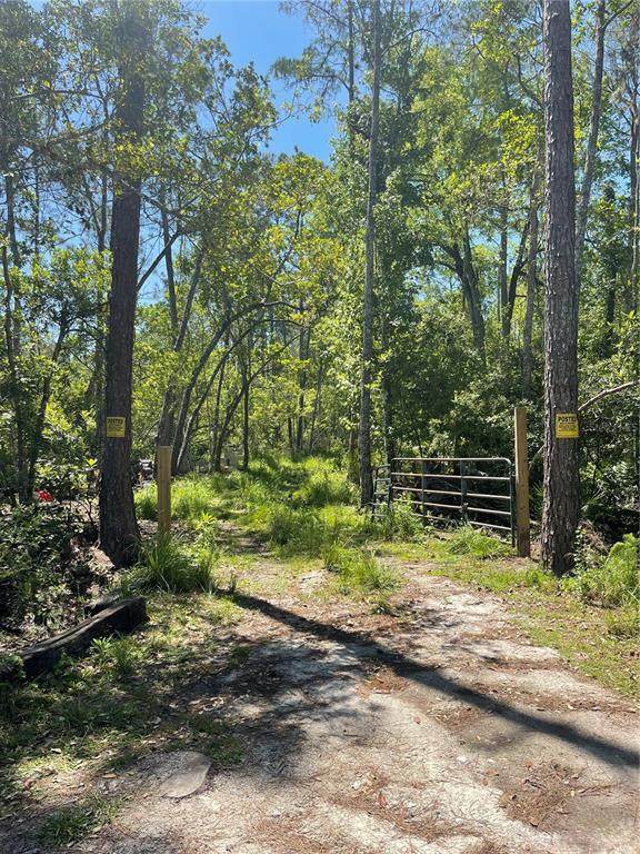 3781 Pine Pitch Court - Photo 1