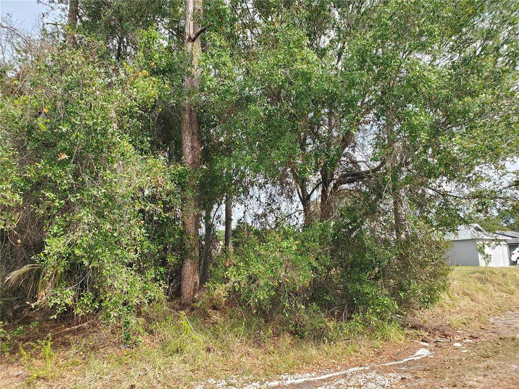 1009 Castaneda Lane - Photo 1