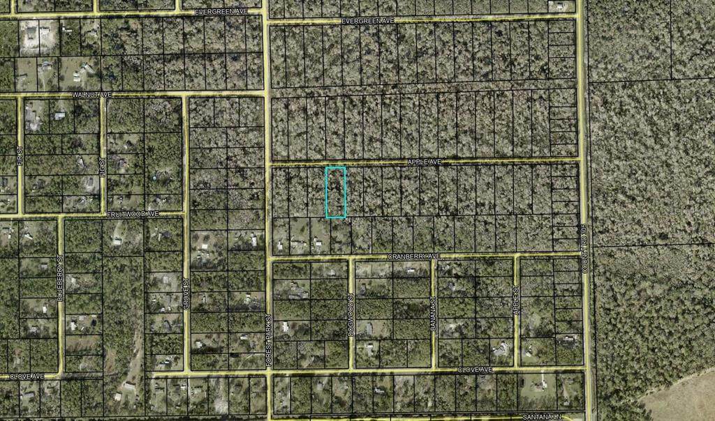 3853 Apple Avenue - Photo 1