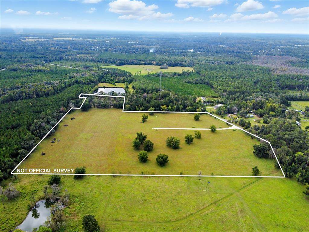 11242 Hogan Road - Photo 1