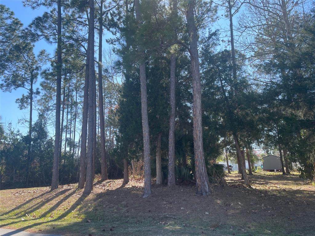 60 Birchwood Drive - Photo 1