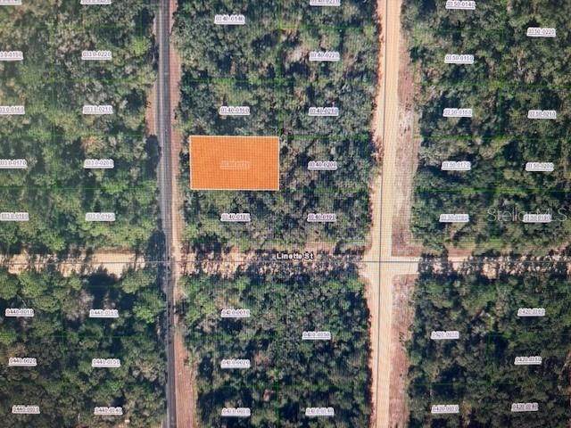 XX Theresa Avenue - Photo 1