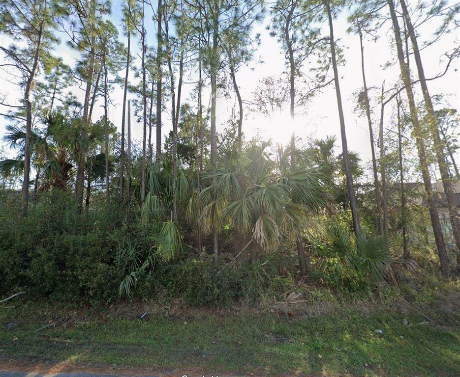 24 Pony Lane - Photo 1