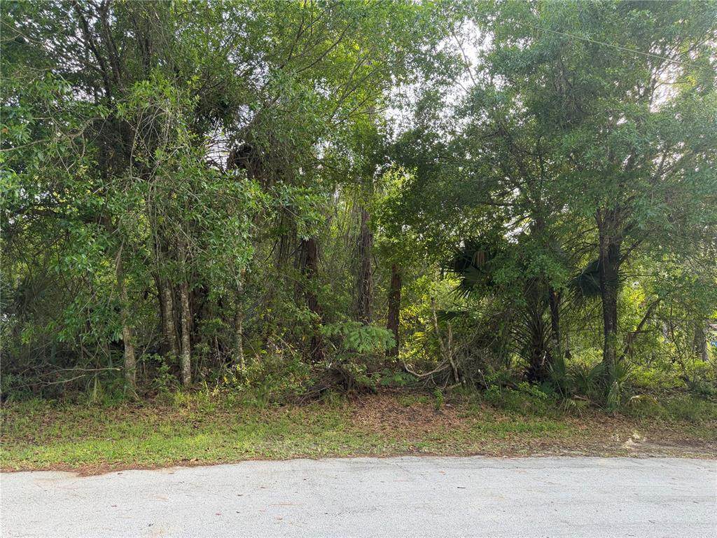 11 Patrick Place - Photo 1