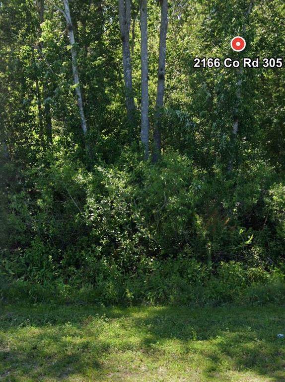 2166 Cr-305 - Photo 1