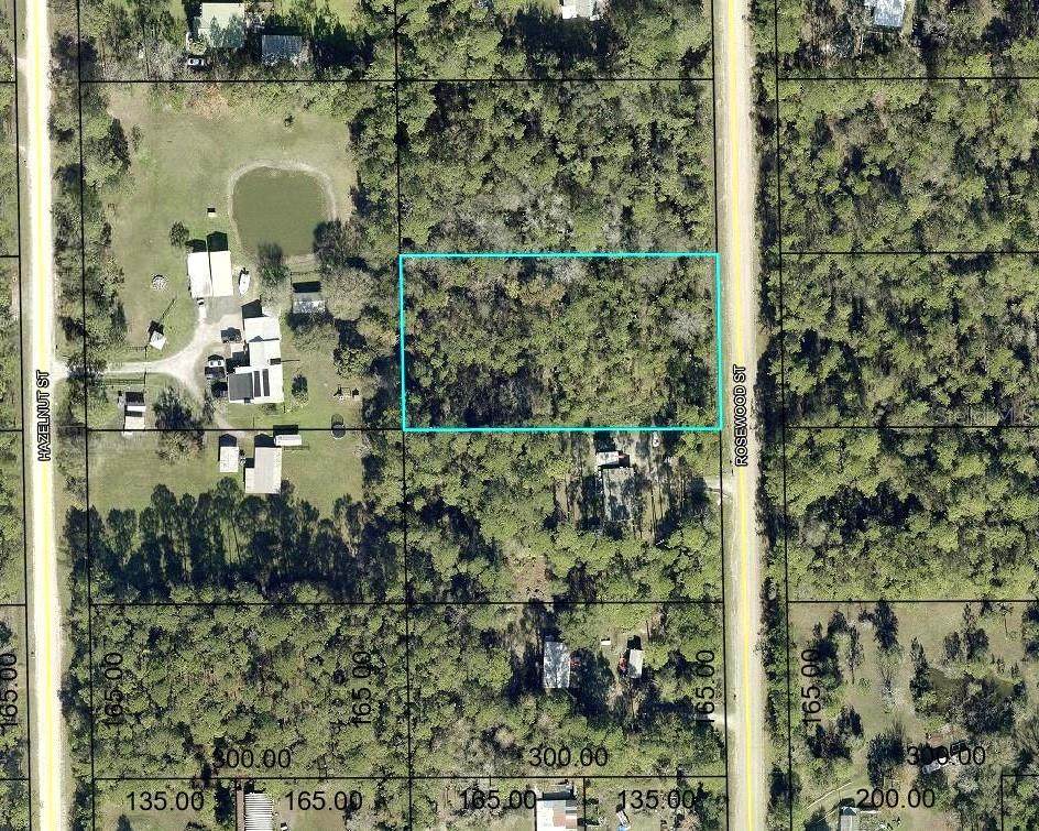 1352 Rosewood Street - Photo 1