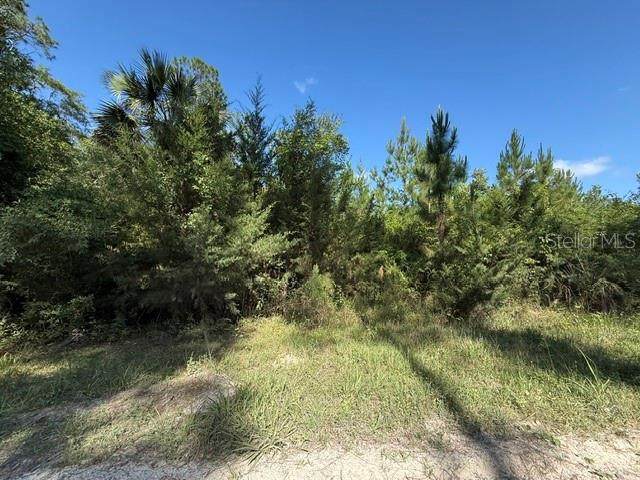  County Road 75 - Photo 1